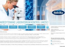 Веб-сайт Лаборатории контроля качества при АО Лакокрасочном заводе 